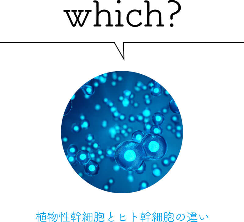 which?植物性幹細胞とヒト幹細胞の違い